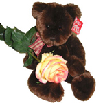 Here is everything you need for a holiday surprise. This gift set contains a plush cuddly stuffed toy and a rose for her.