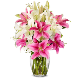 Blooming Elegance Lilies