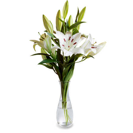 Ethereal Elegance With 3 White Lilies