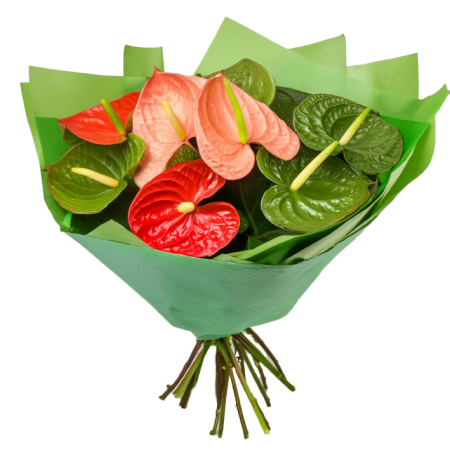 Mixed Anthurium Bouquet