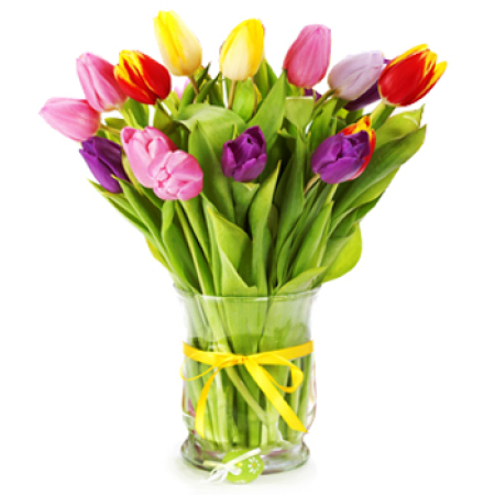 Mixed Tulips